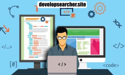 DevelopSearcher.site