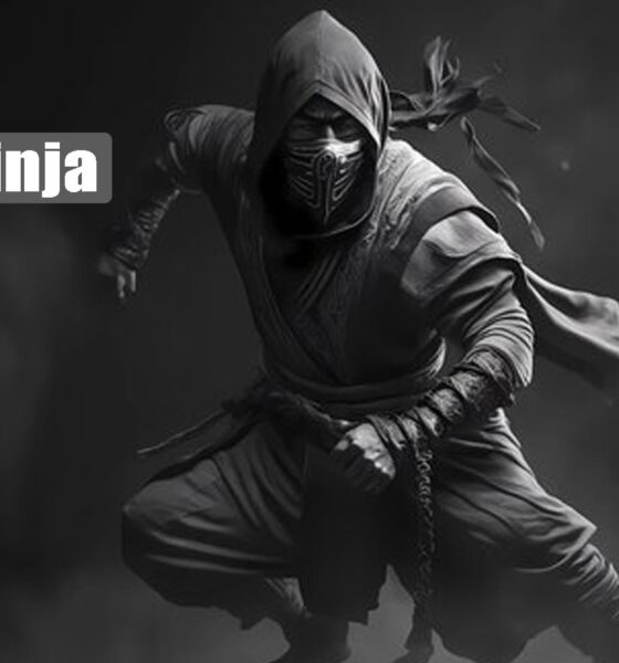 lwedninja