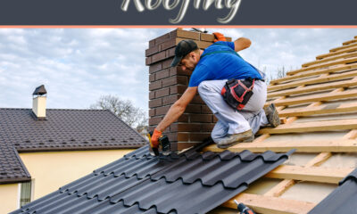 Professional Roofer