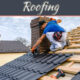 Professional Roofer