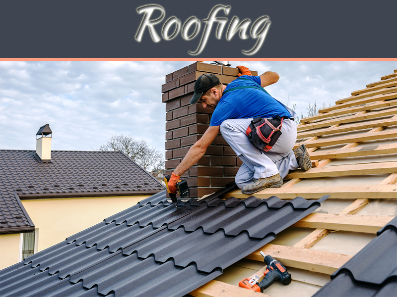 Professional Roofer