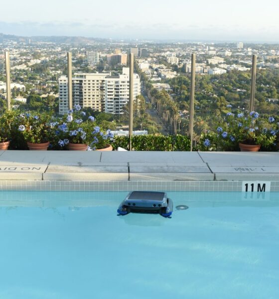 How Do You Clean a Pool with a Robot?